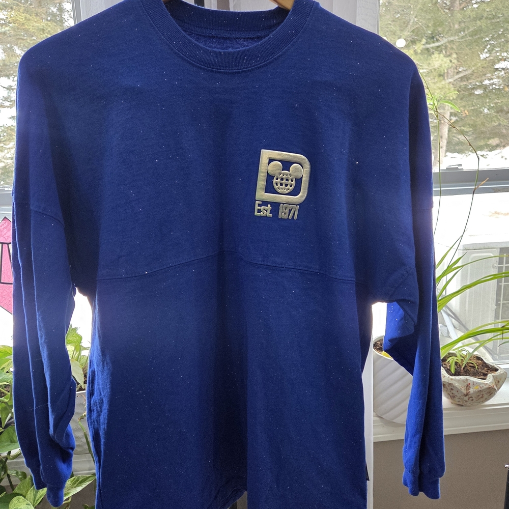 Disney Blue Spirit Jersey
